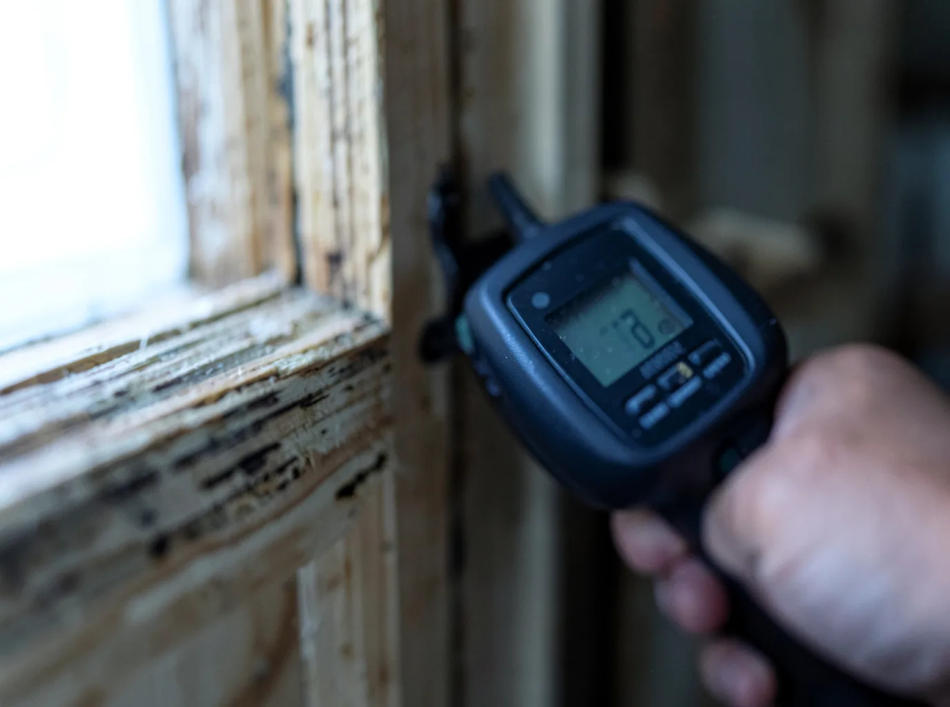 Commercial Water Damage Restoration in Bloomingrose, WV